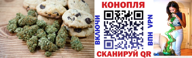 мега вход  продажа наркотиков  Фрязино  Еда ТГК конопля 